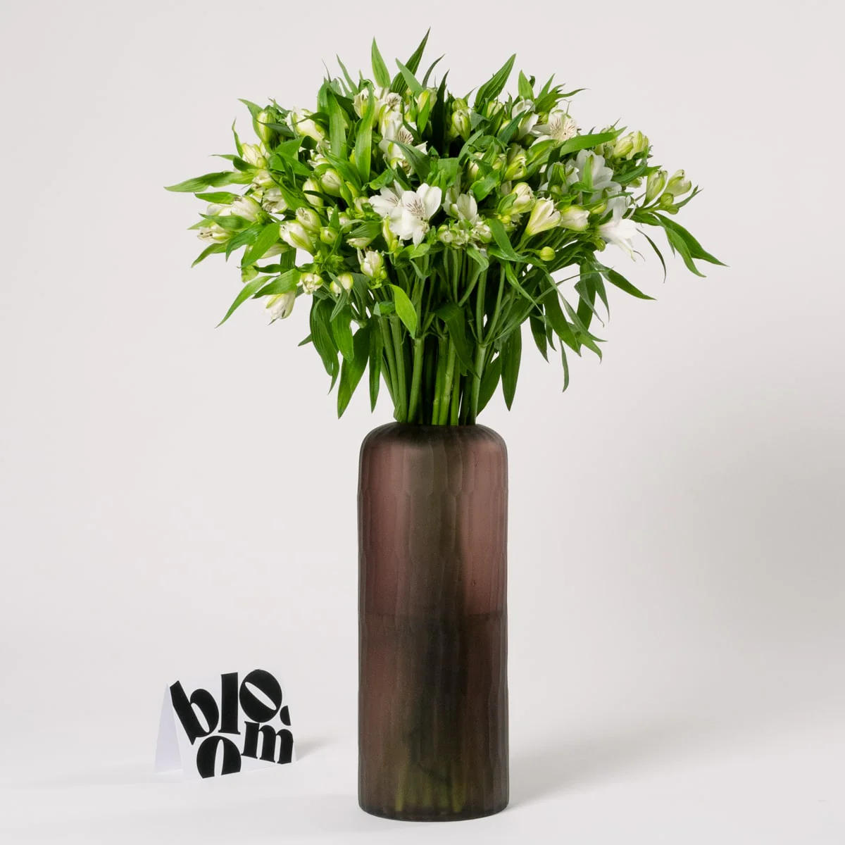 Arctic White Alstroemeria - Image 3