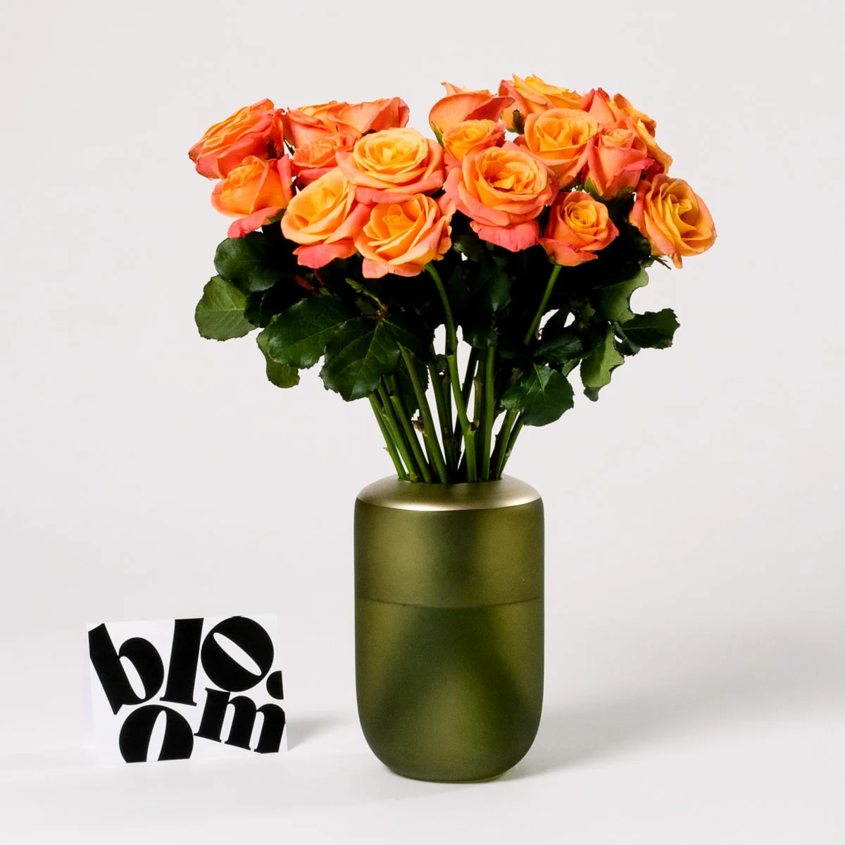 Coral Sunset Roses - Image 3