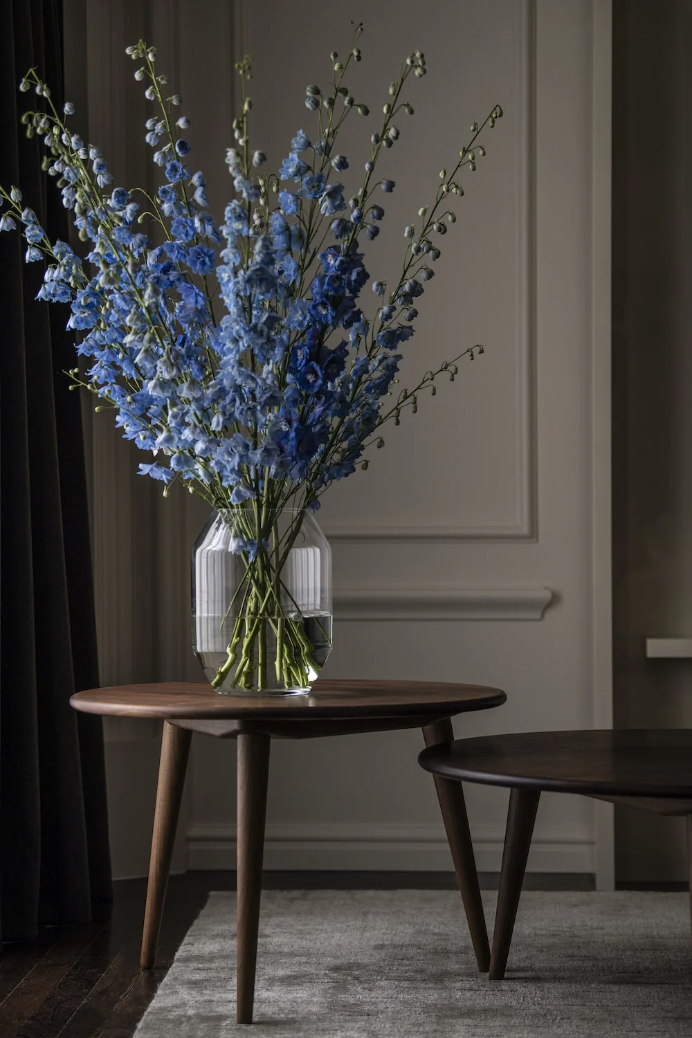 Glacier Blue Delphinium - Image 4