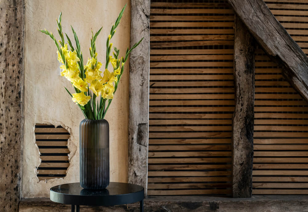Goldfinch Yellow Gladioli - Image 4