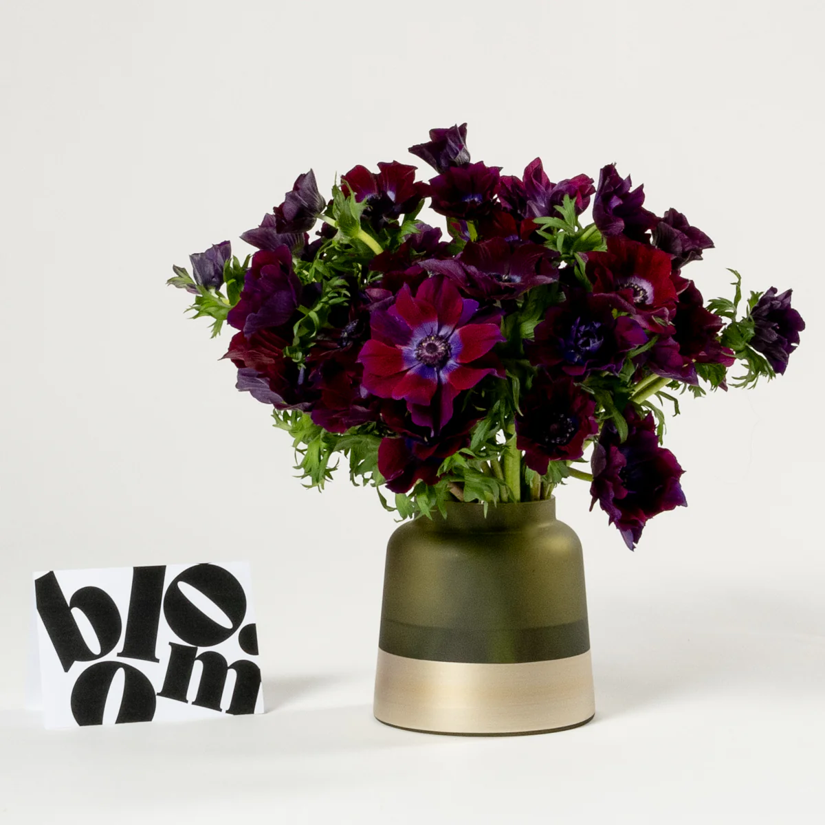 Purple Velvet Anemones - Image 3