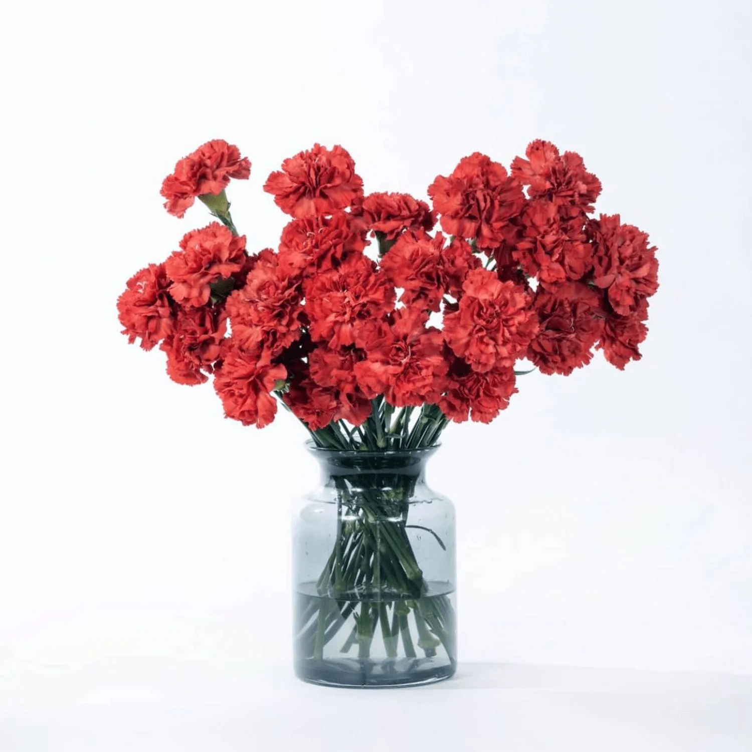 Red Carnations - Image 3