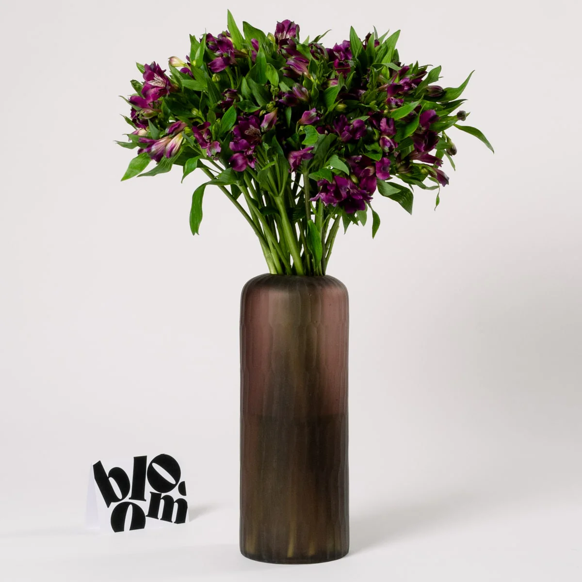 Royal Purple Alstroemeria - Image 3