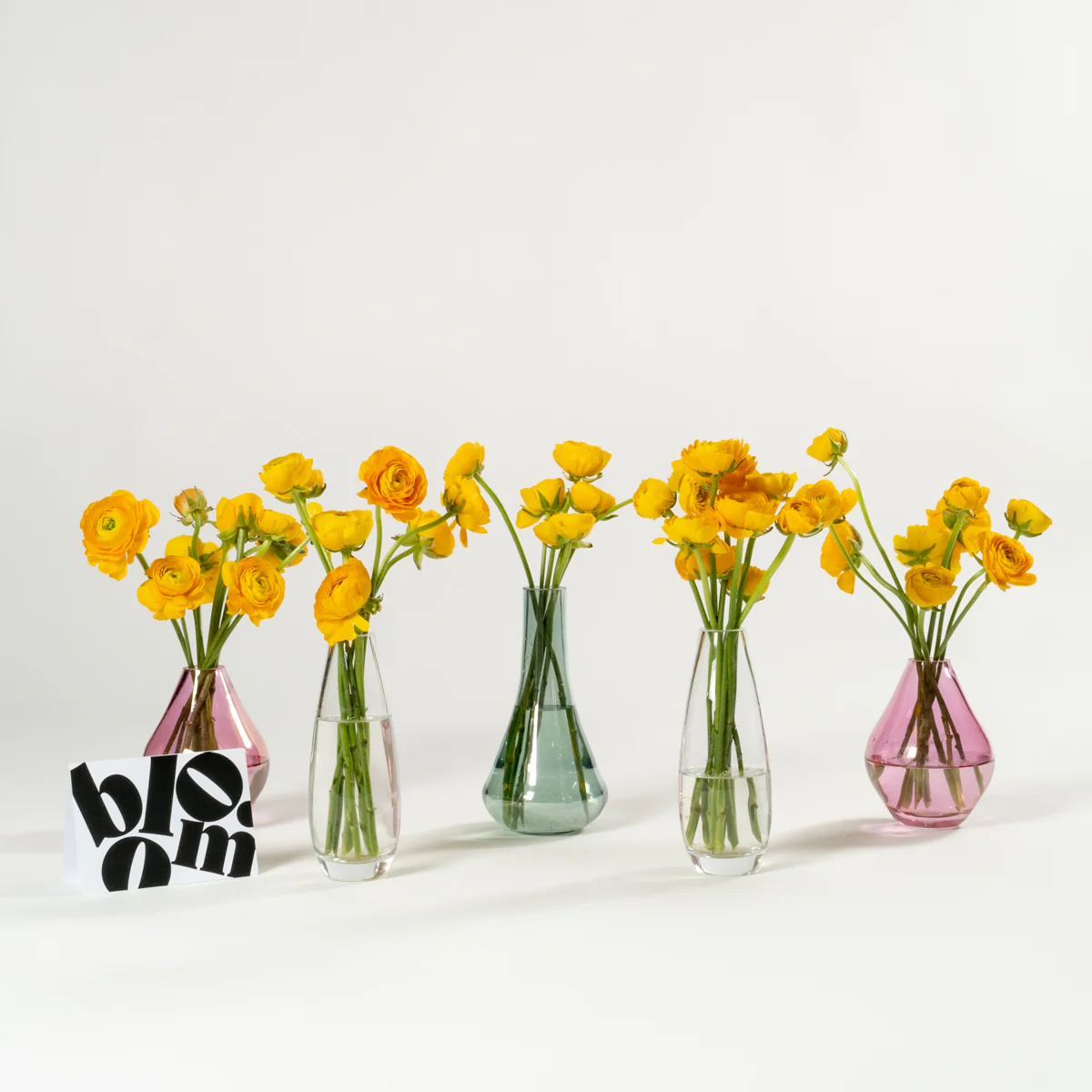 Sunshine Yellow Ranunculus - Image 3