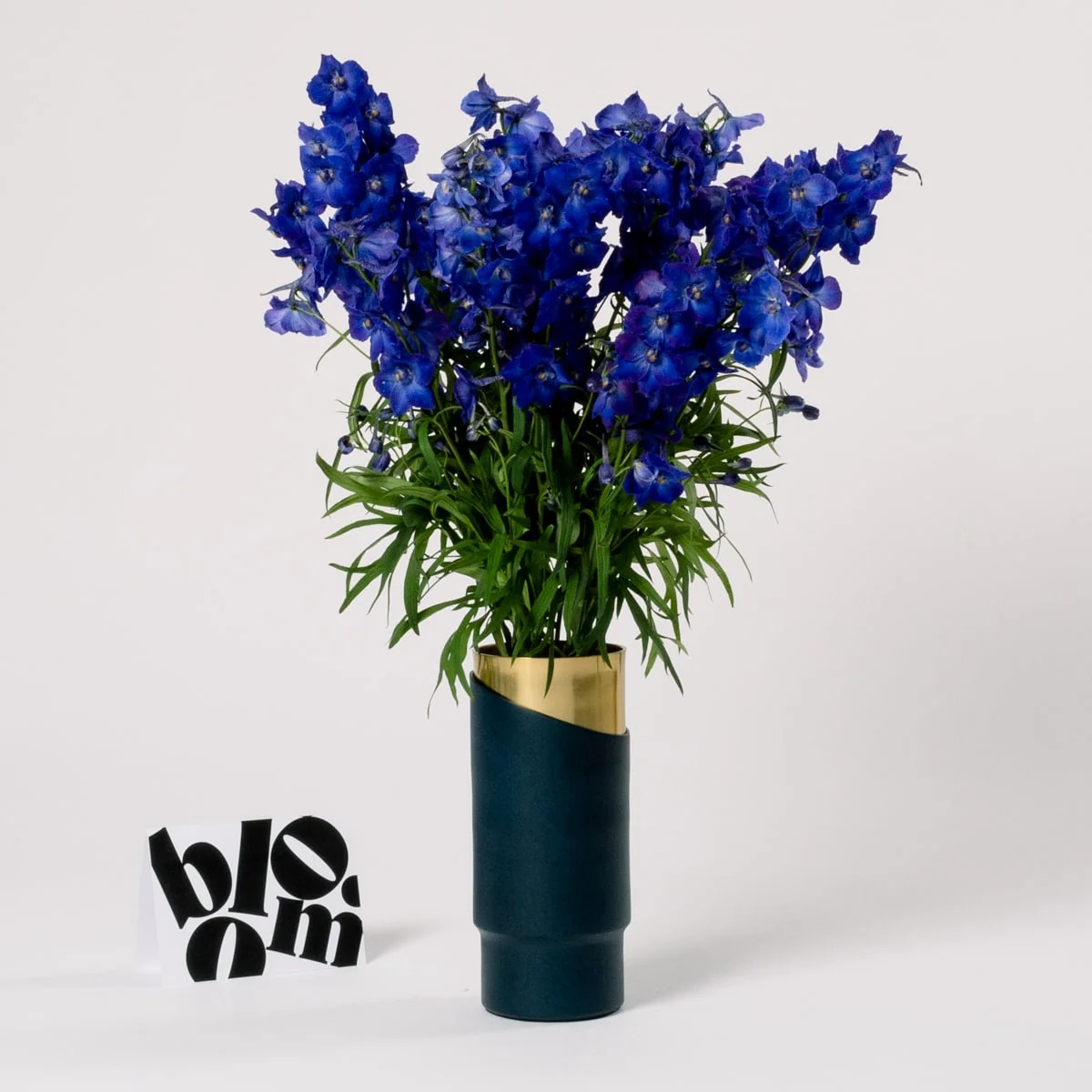 Ultra Marine Blue Delphinium - Image 2